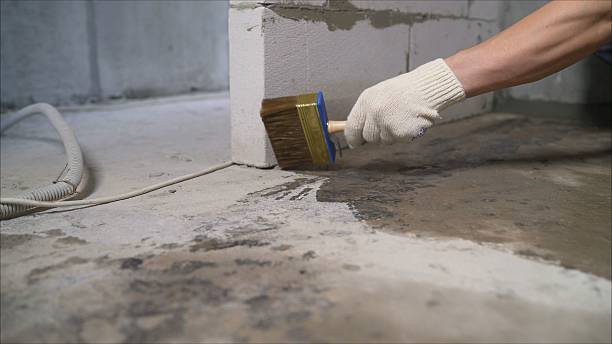 SJ Waterproofing Pros Waterproofing coverage map for Howell, MI and surrounding area